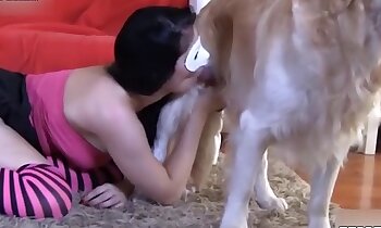 무료 동물 포르노,거친 섹스