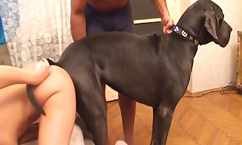 animal and woman sex,dog porn video