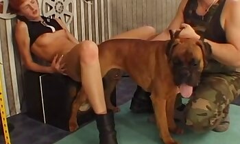 tier-sexfilm,zoo-porno-video