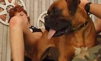 動物のセックス映画,動物園ポルノビデオ