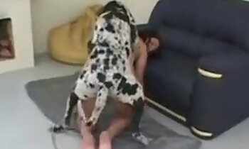 porno animalier gratuit,zoophilie porno