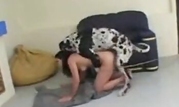 phim khiêu dâm động vật miễn phí,khiêu dâm động vật