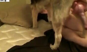 free animal porn,free zoosex videos