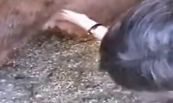 kostenloser tierporno,kostenlose zoosex-videos