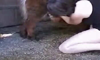 porno animali gratis,video zoosex gratuiti