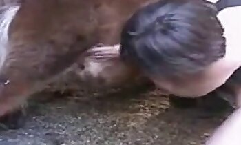 gratis dyreporno,gratis zoosex videoer