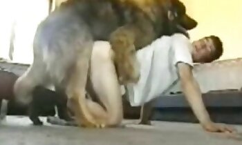free zoosex videos,zoophilia porn