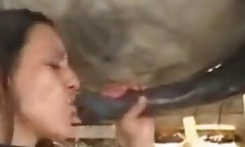 bezplatná zoosex videa,porno video ze zoo