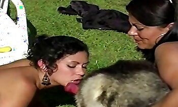 free animal porn,free zoosex videos