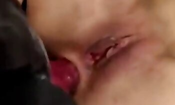무료 동물 포르노,동물원 포르노 비디오