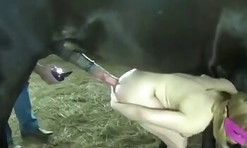 free horse porn,girl and animal sex