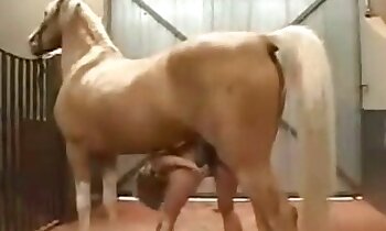 porno zvierat zadarmo,bezplatné zoosex videá