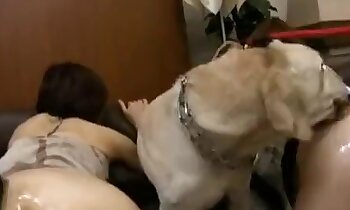 honden porno video,meisje en dieren seks