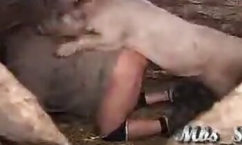 porno zvierat zadarmo,porno video zoo