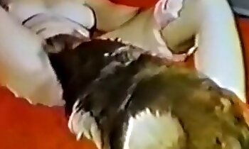 gratis zoosex-videor,zoo porr video