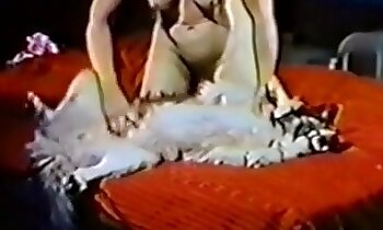 free zoosex videos,zoo porn video