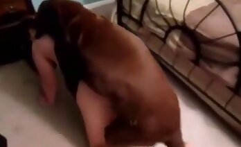 sexe animal et femme,porno bestialité gratuit