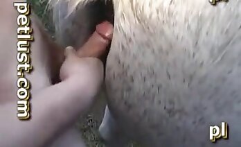 animal sex scenes,cock