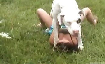 oral seks,zoosex videoları
