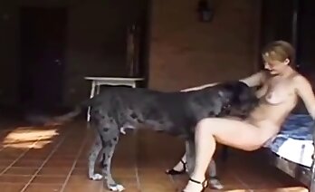 zoosex-videos,zoo-porno-video