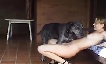 zoosex videók,állatkerti pornó videó