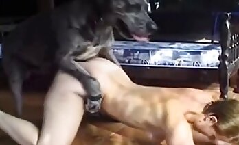 zoosex videók,állatkerti pornó videó