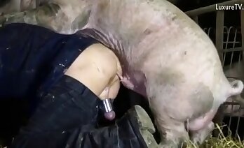 animal porn,zoo porn video