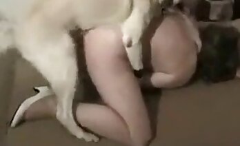 animal porn,zoo porn video