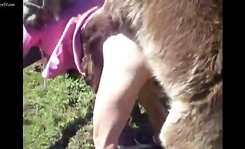 zoosex videos,animal porn