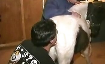 zoosex videi,divji seks