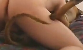 zoosex videoları,hayvanat bahçesi porno videosu