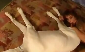 zoosex videos,zoo porn video