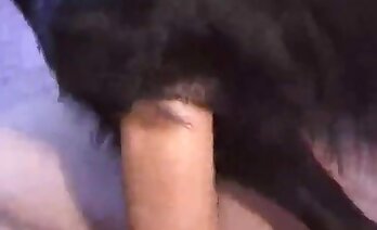 porno zwierzęce,film porno z zoo