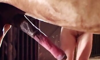 zoophilia sex video,free bestiality porn