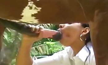 zoosex videos,zoo porn video