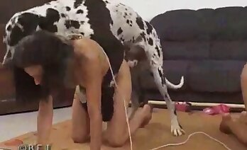 चिड़ियाघर सेक्स वीडियो,पशु अश्लील