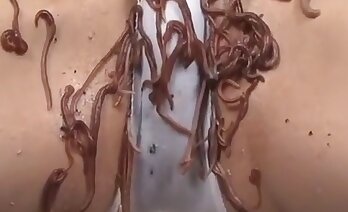 فيديو جنسي عن الحيوانات