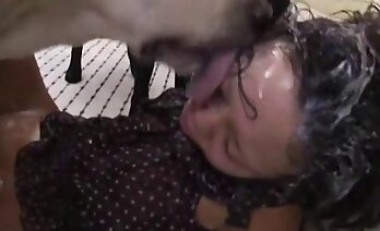 zoosex videos,animal porn