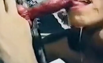 video di sesso zoologico,porno gratis bestialità
