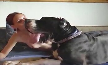 blowjobs,animal and woman sex