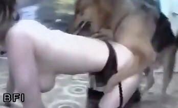 gratis hunde zoo-porno,dyre- og kvindesex