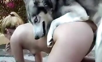 セックス 後背位,動物性愛映画