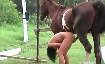 зоосекс видео,зоофилия секс видео