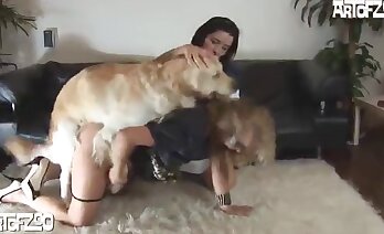 sexo cachorrinho foda,vídeos de zoosex