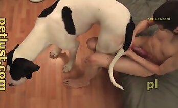 video khiêu dâm sở thú,tình dục đồng tính
