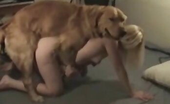 zoosex-video's,dierentuin porno video