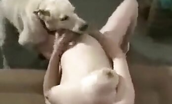 video zoosex,video sex động vật