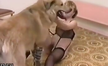blowjobs,zoosex videos