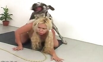 video zoosex,khiêu dâm động vật