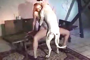dog porn dog-fucks-blonde 